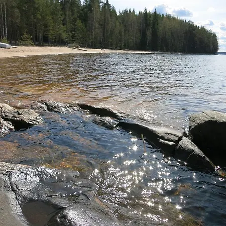 Riekamo