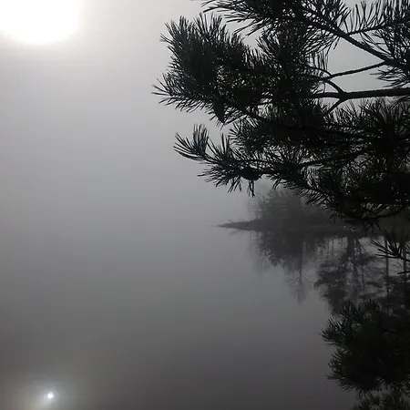 Feriehus Riekamo Arpolahti